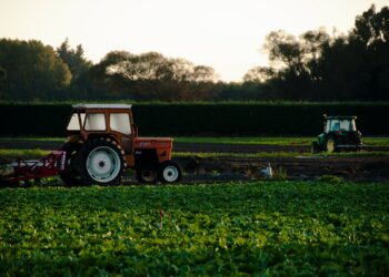 orange tractor