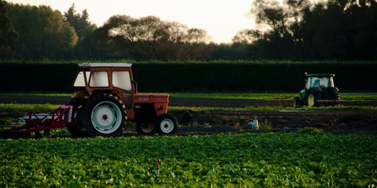 orange tractor