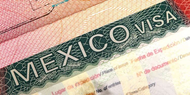 xr:d:DAFbnC7iwak:473,j:7738715330767065282,t:23100715