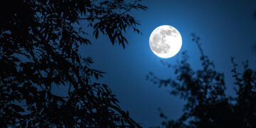 Night landscape of sky and super moon with bright moonlight behind silhouette of tree branch. Serenity nature background. Outdoors at nighttime. Selective focus